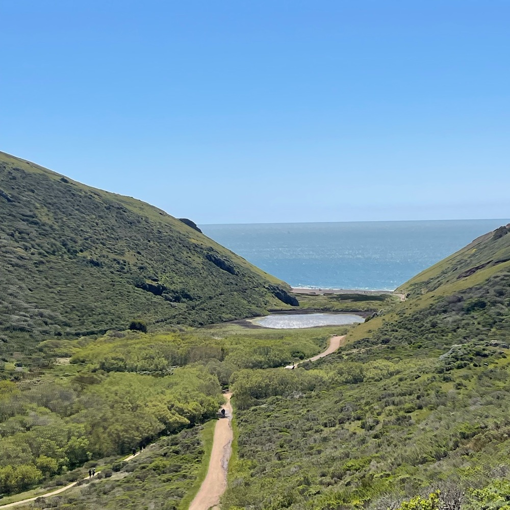 Meet your Posher, Sof